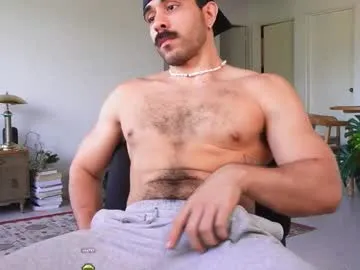 shiri_hot – webcam model profile photo Image 2