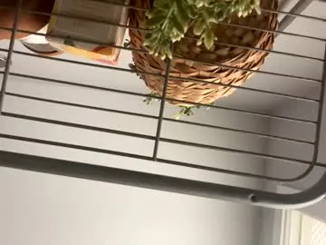 indianacooper – webcam model profile photo Image 8