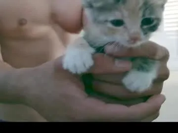 monicaflower – webcam model profile photo Image 9