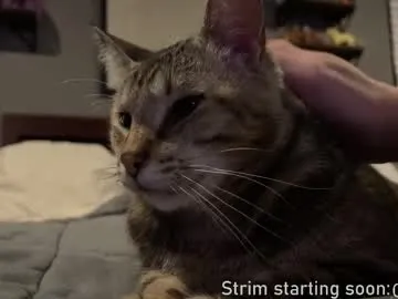 rupali01 – webcam model profile photo Image 11