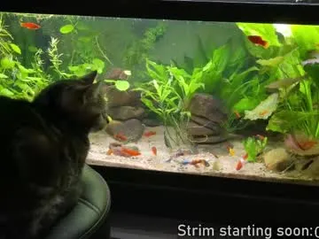 rupali01 – webcam model profile photo Image 14