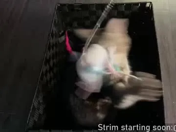 rupali01 – webcam model profile photo Image 3