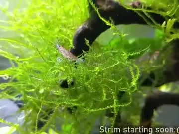 rupali01 – webcam model profile photo Image 4