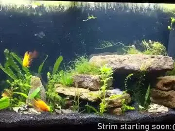 rupali01 – webcam model profile photo Image 5