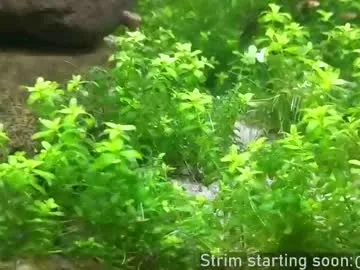 rupali01 – webcam model profile photo Image 8