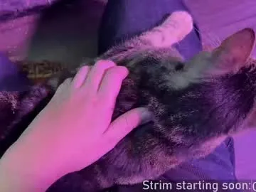 rupali01 – webcam model profile photo Image 9