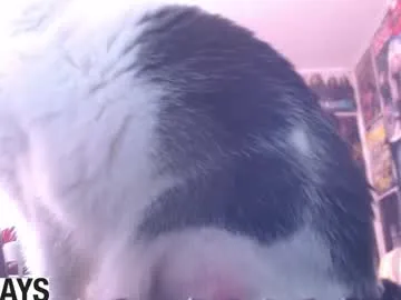 indiandesiguys2023 – webcam model profile photo Image 9