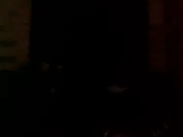 EmiliaWalker – webcam model profile photo Image 19