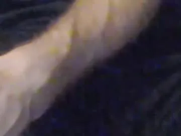 tvycas7 – webcam model profile photo Image 16