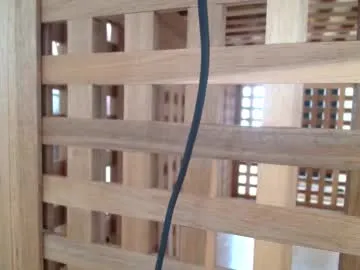 MiaJayz – webcam model profile photo Image 6