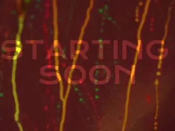 idkusethis – webcam model profile photo Image 15