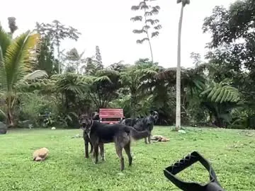 jaderose373 – webcam model profile photo Image 14