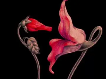 indiandesiguys2023 – webcam model profile photo Image 8