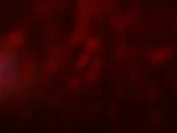 cori_paige – webcam model profile photo Image 14