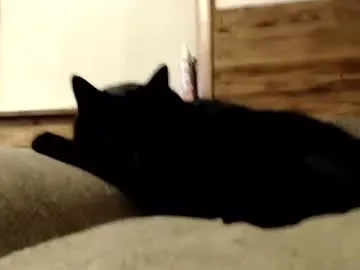 RoxannaRivera – webcam model profile photo Image 17