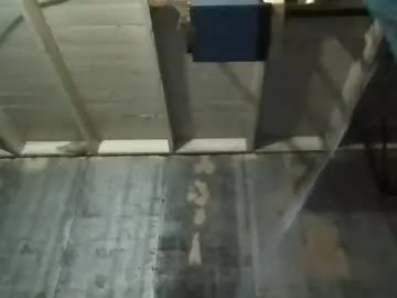 cutexxalice – webcam model profile photo Image 16