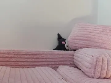 indiansweety – webcam model profile photo Image 12