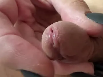 sofiakhanxo – webcam model profile photo Image 13