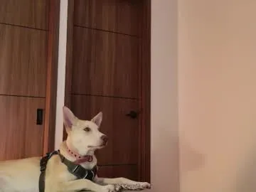 desi_darling – webcam model profile photo Image 14