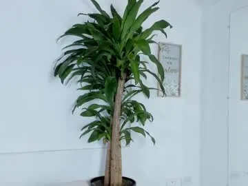 melissa_latingirl Image 4