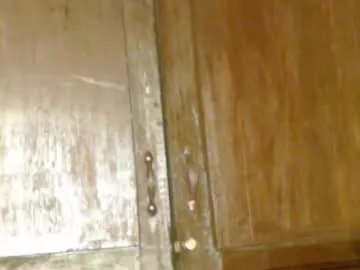 ashkhan22111 – webcam model profile photo Image 19