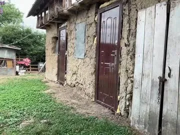 sunflower_28 – webcam model profile photo Image 4