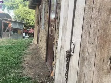 sunflower_28 – webcam model profile photo Image 7