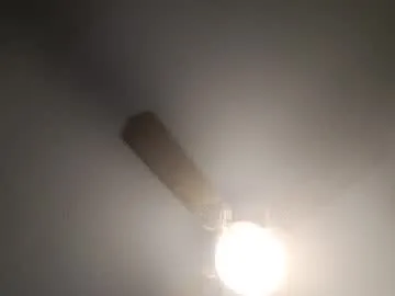 red24devils – webcam model profile photo