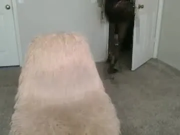 zharidjparker – webcam model profile photo Image 17