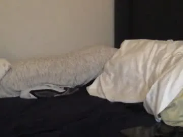 cutexxalice – webcam model profile photo Image 13