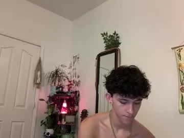 Aleja – webcam model profile photo Image 12