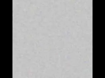 ChloeCerisse – webcam model profile photo Image 8