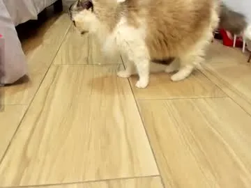 EllieSin – webcam model profile photo Image 9