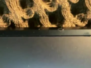 cutexxalice – webcam model profile photo Image 18