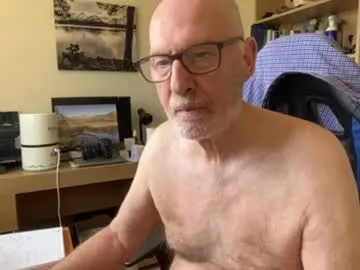 togbear Image 9