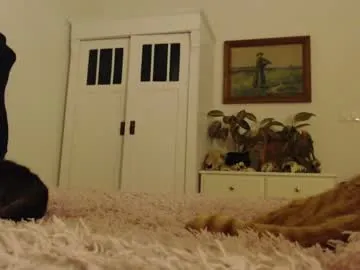 goofyshygirl1 – webcam model profile photo Image 2