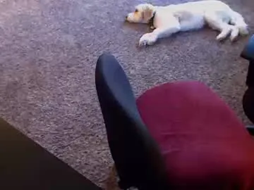 ChloeDurgot – webcam model profile photo Image 15