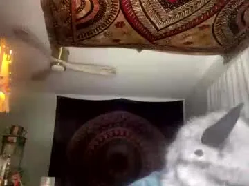 sexy_twishu – webcam model profile photo Image 2